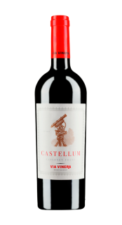 CASTELLUM Cabernet Franc, 2017, suché, Via Vinera, 0,75l